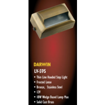 Darwin LV 59 S Surface Mount Low Voltage Solid Cast Brass Step Light